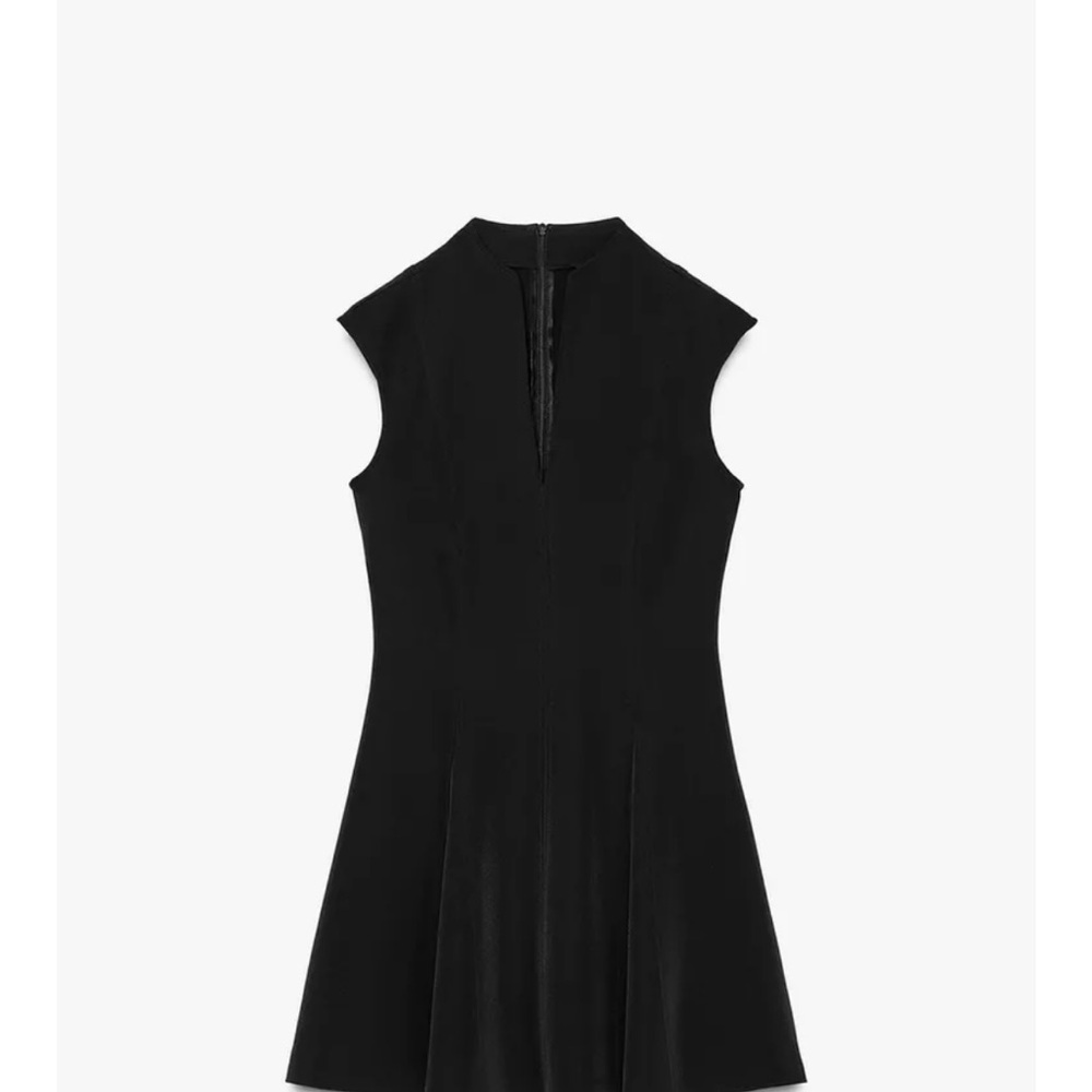 Zara Black Cap-Sleeve Fit & Flare Dress